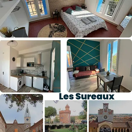 Cosy T2- Les Sureaux Apartment Perpignan Exterior photo